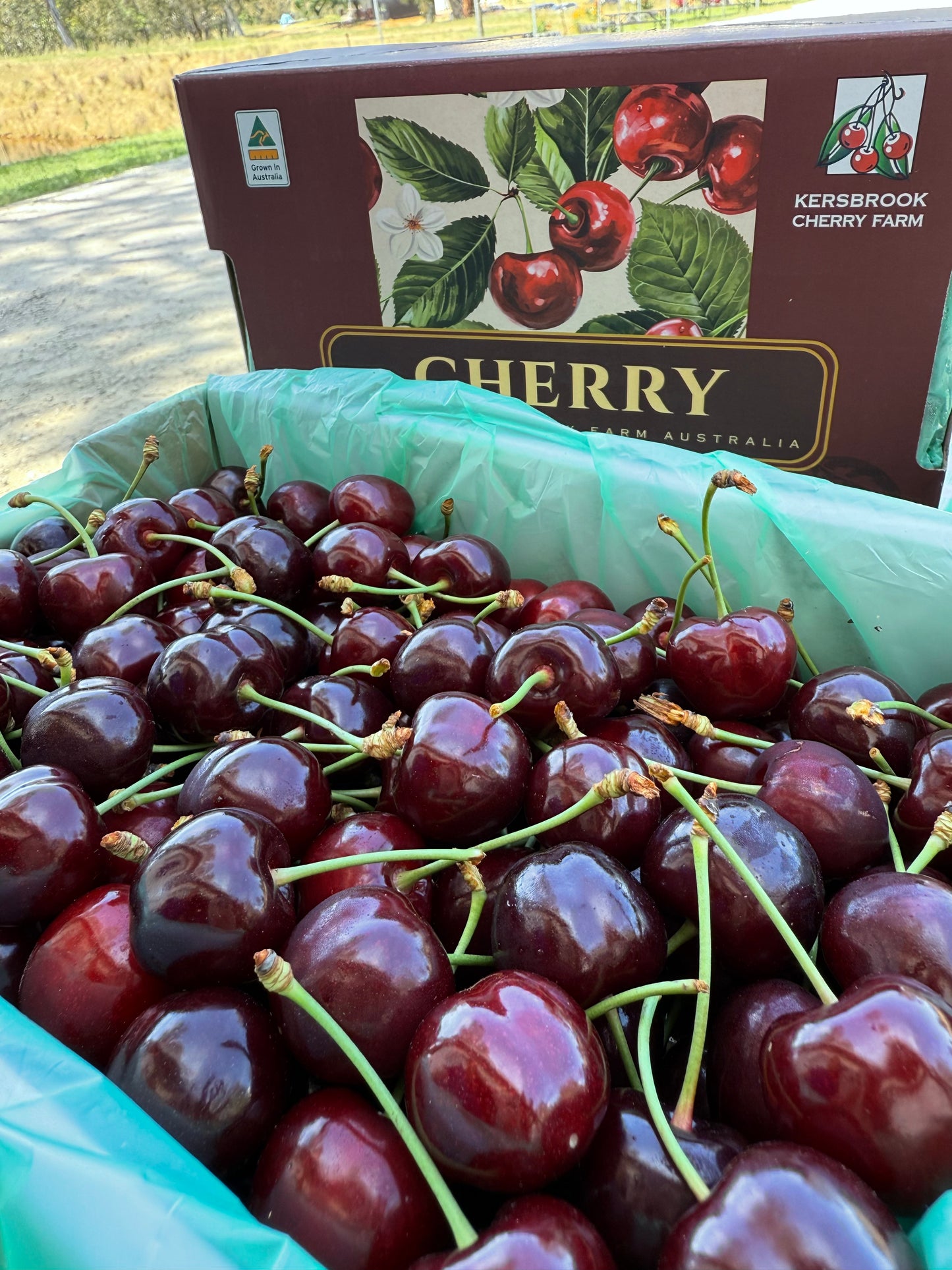 Export to China
Premium 2Kg Boxes