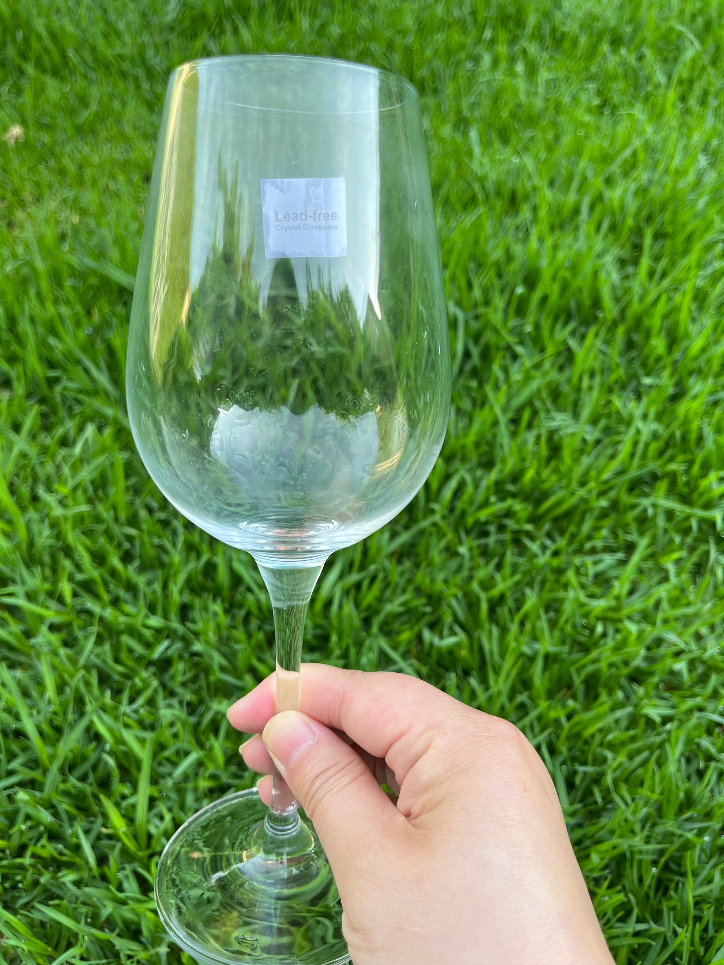 Luxury Crystal Wine Glass Set (6 glass per set)
